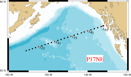 P17NE Station Track