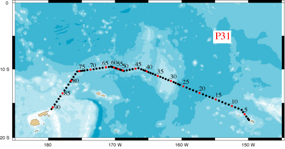 P31 Station Track